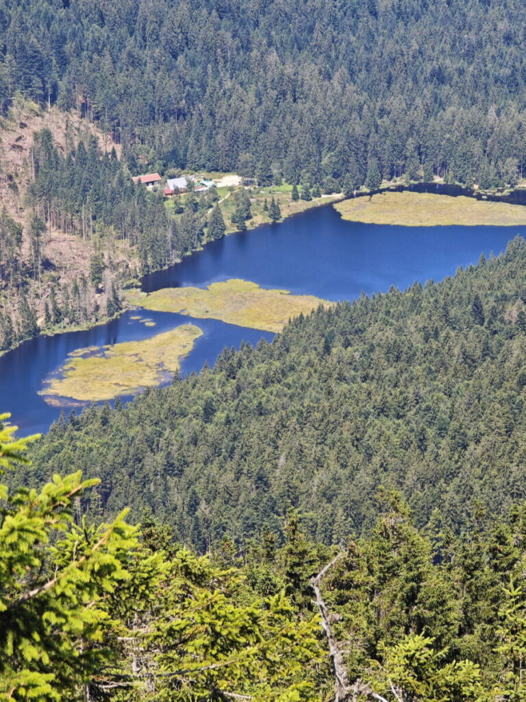 Oberpfalz Sehenswürdigkeiten, die man gesehen haben sollte: Kleiner Arbersee